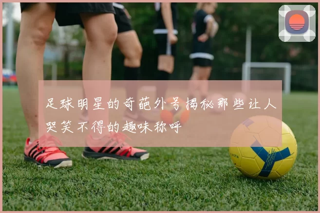 足球明星的奇葩外号揭秘那些让人哭笑不得的趣味称呼