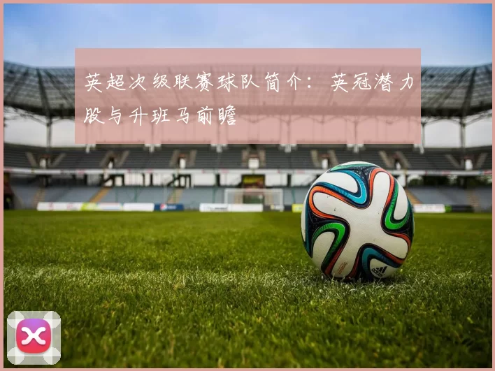英超次级联赛球队简介：英冠潜力股与升班马前瞻