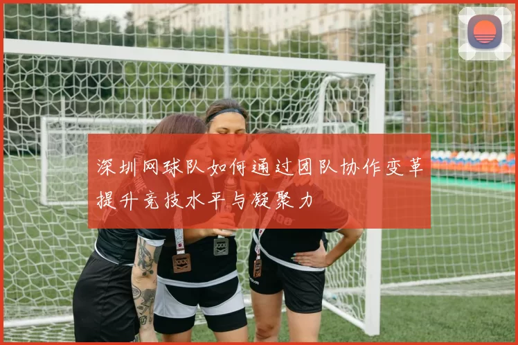 深圳网球队如何通过团队协作变革提升竞技水平与凝聚力