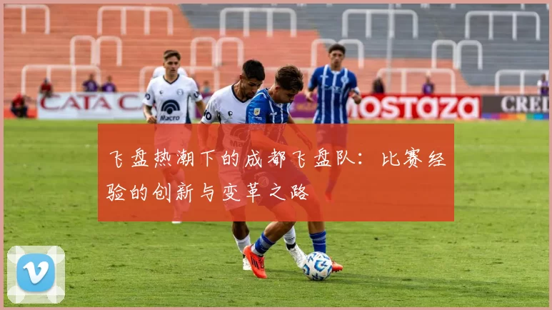 飞盘热潮下的成都飞盘队：比赛经验的创新与变革之路